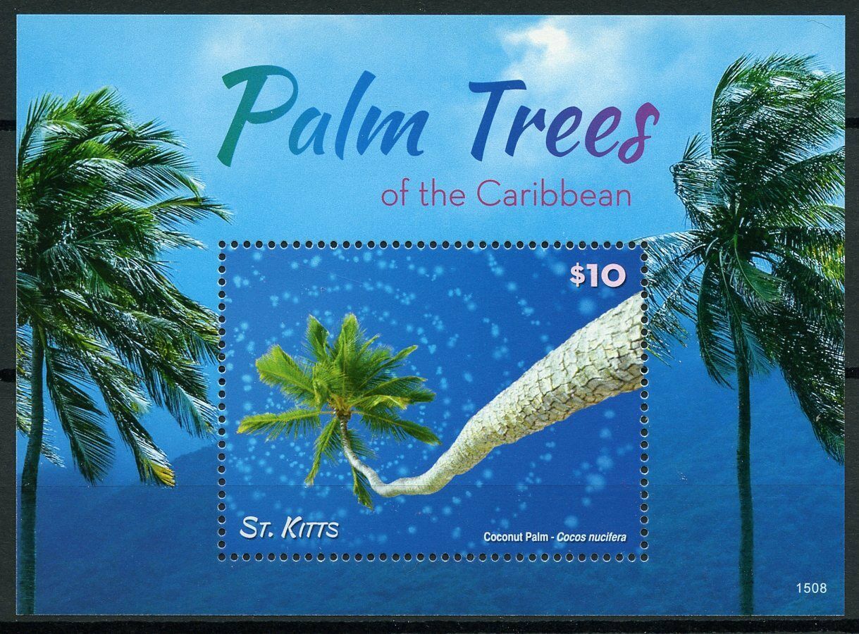 St Kitts 2015 MNH Nature Stamps Palm Trees of Caribbean Coconut 1v S/S