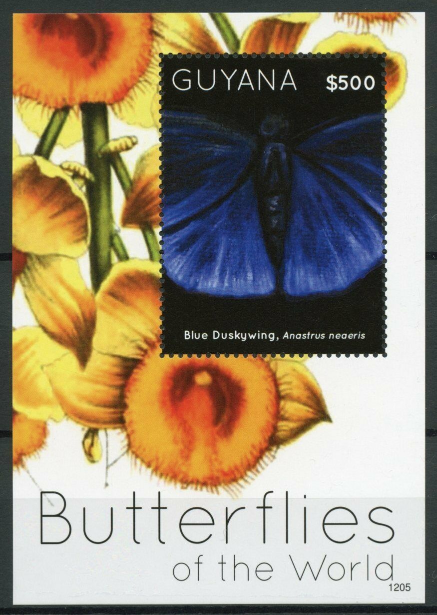 Guyana Butterfly Stamps 2012 MNH Butterflies of World Blue Duskywing 1v S/S I