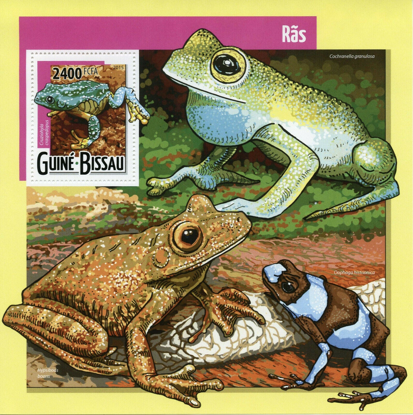 Guinea-Bissau 2015 MNH Frogs Stamps Frog Amphibians Fauna 1v S/S