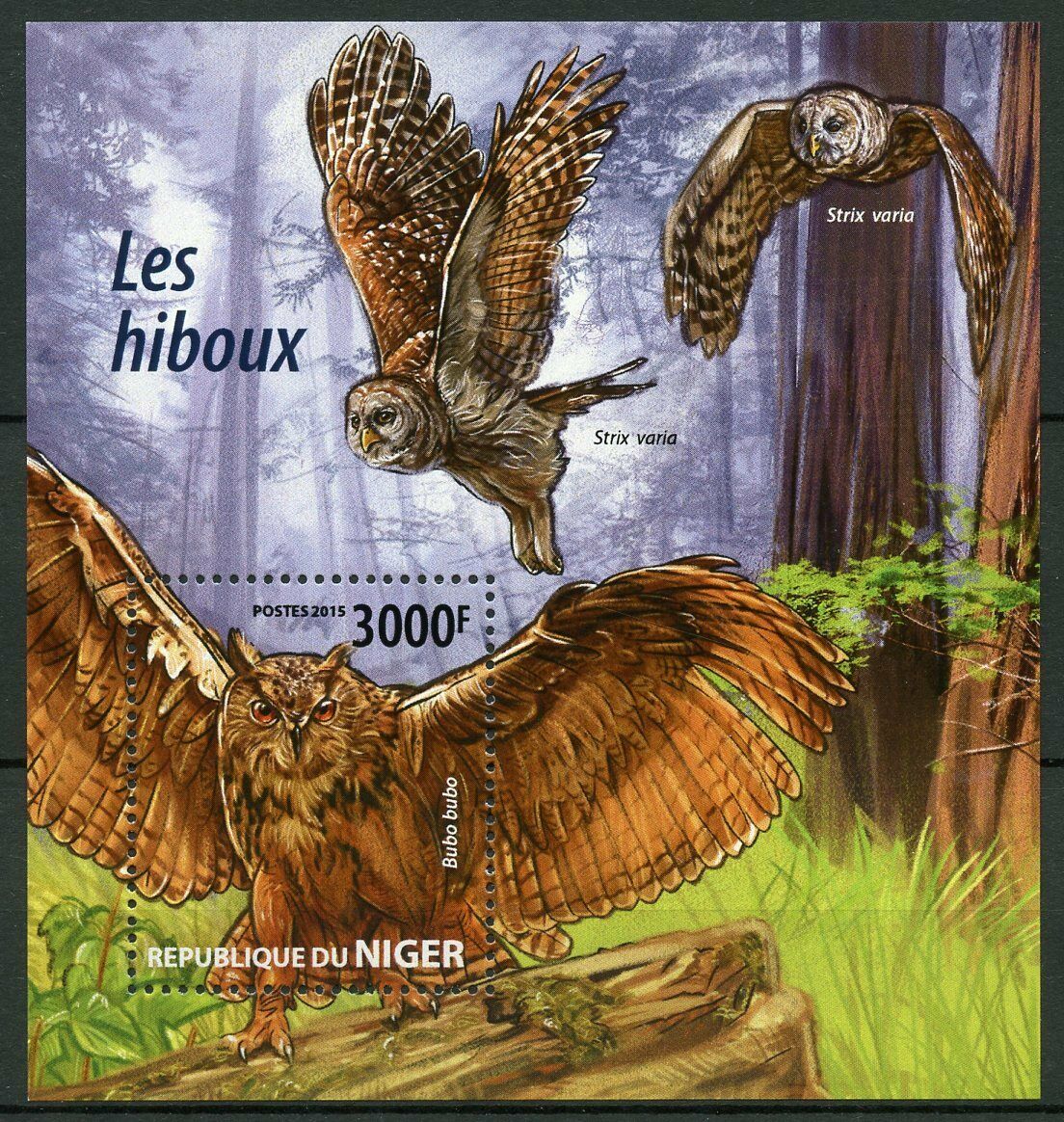 Niger Birds on Stamps 2015 MNH Owls Eurasian Eagle-Owl Barred Owl 1v S/S