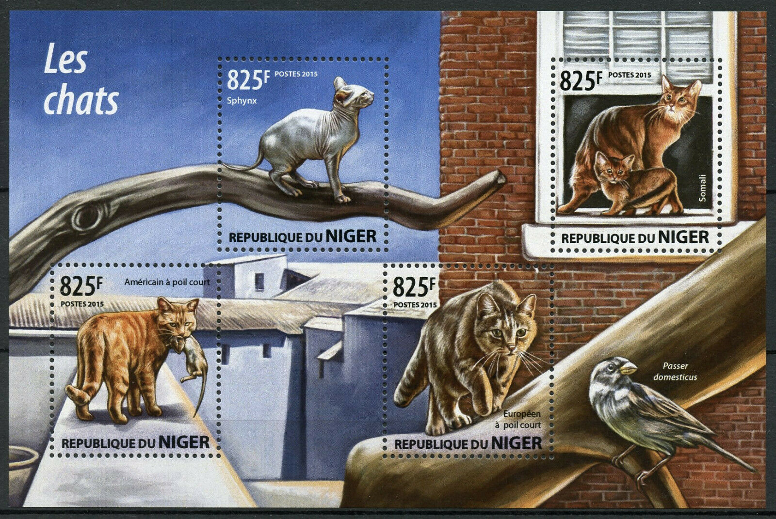 Niger Cats Stamps 2015 MNH Sphynx Somali American European Shorthair Cat 4v M/S