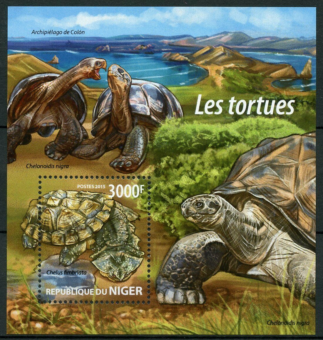 Niger Turtles Stamps 2015 MNH Mata Mata Galapagos Tortoises Reptiles 1v S/S