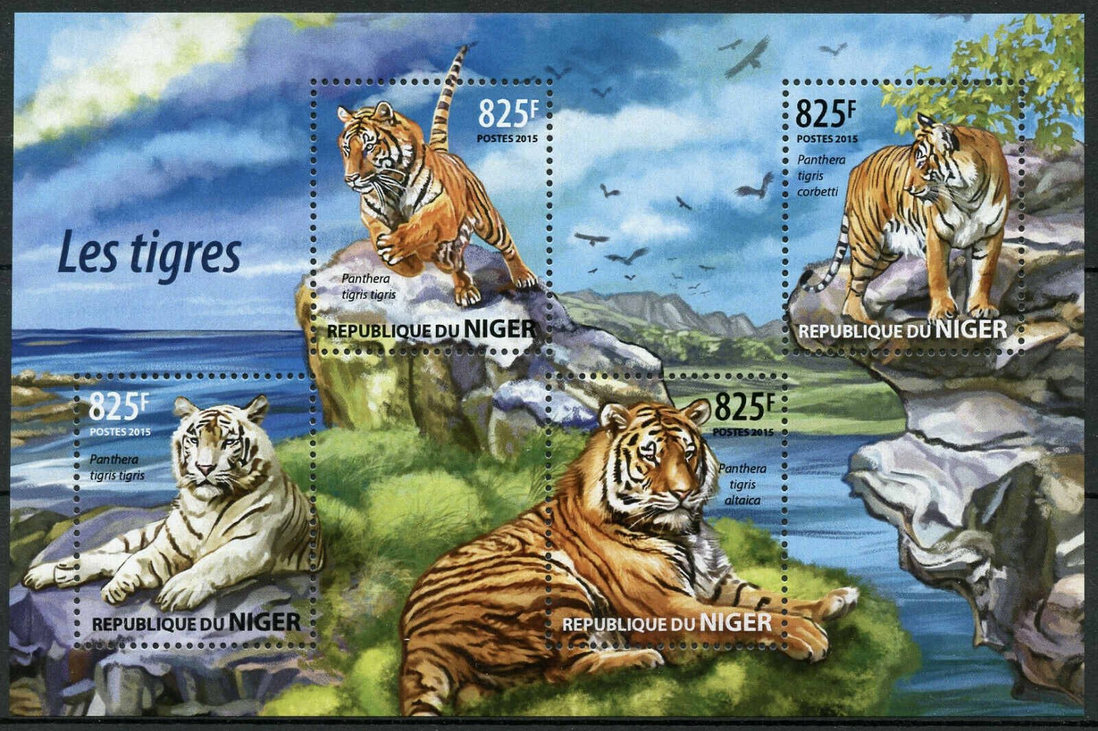 Niger 2015 MNH Wild Animals Stamps Tigers Siberian Tiger Big Cats Fauna 4v M/S