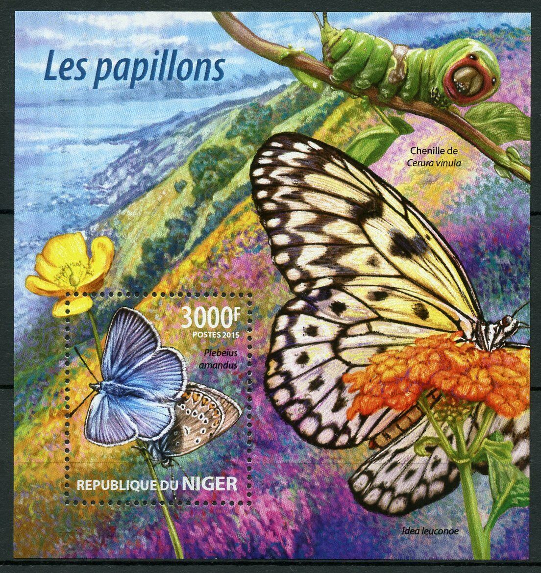 Niger 2015 MNH Butterflies Stamps Amanda's Blue Butterfly Fauna 1v S/S