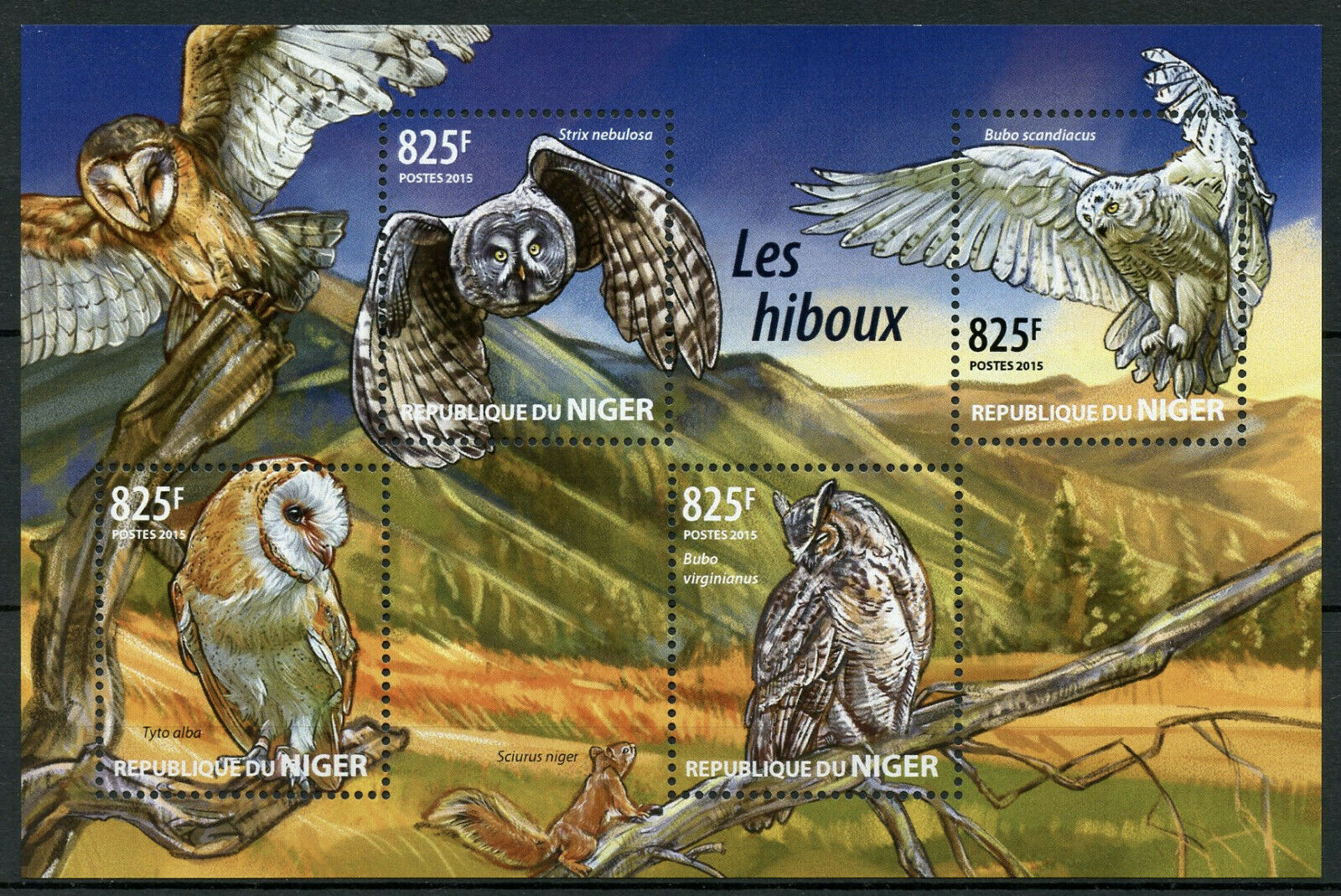 Niger Birds on Stamps 2015 MNH Owls Great Grey Snowy Barn Owl 4v M/S