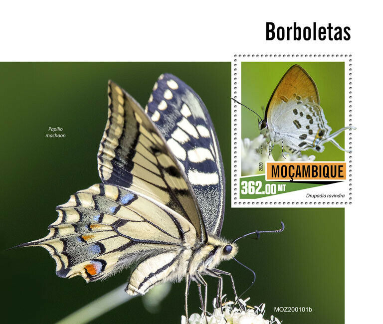 Mozambique 2020 MNH Butterflies Stamps Swallowtail Butterfly Fauna 1v S/S
