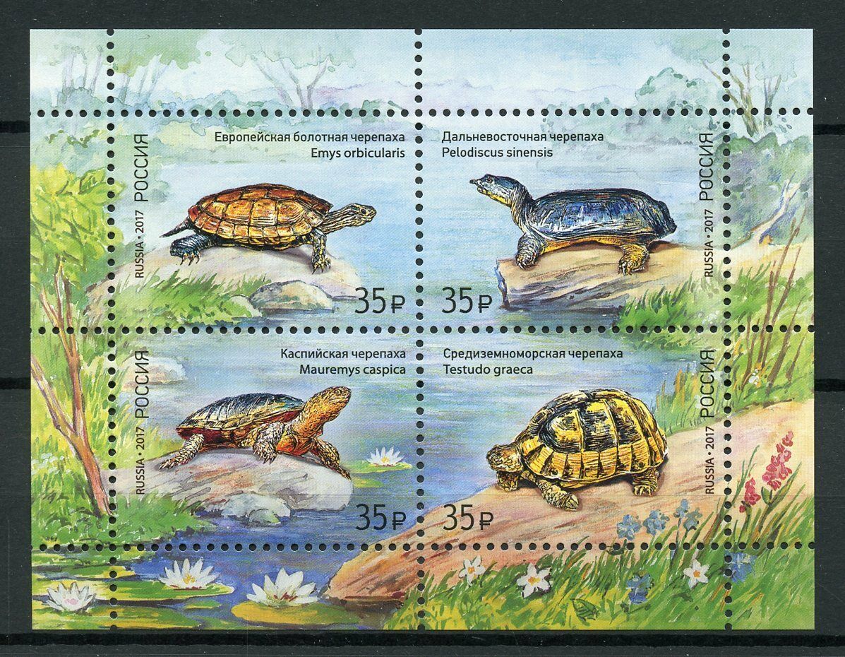 Russia 2017 MNH Turtles 4v M/S Turtle Reptiles Stamps
