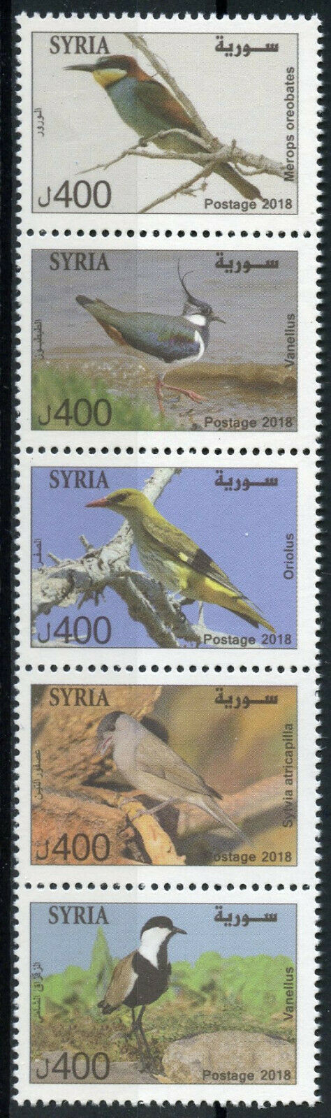 Syria 2018 MNH Birds Bee-Eaters Lapwings Orioles 5v Strip Bird Stamps