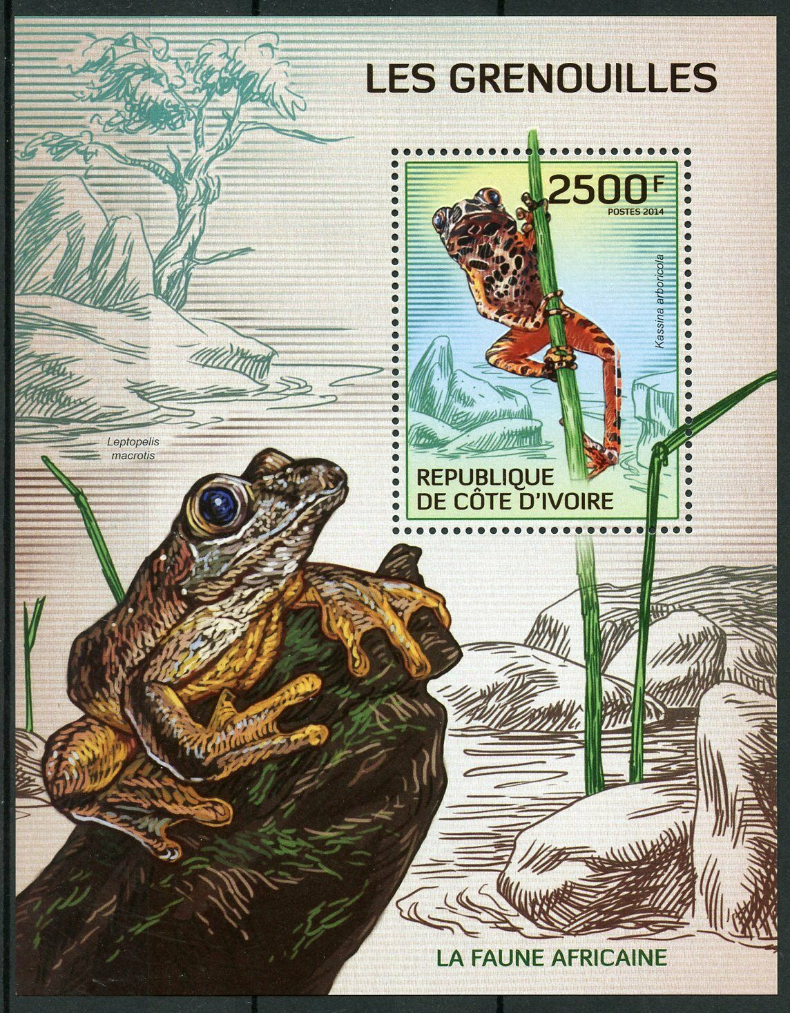 Ivory Coast 2014 MNH Frogs Stamps Frog Amphibians Fauna 1v S/S