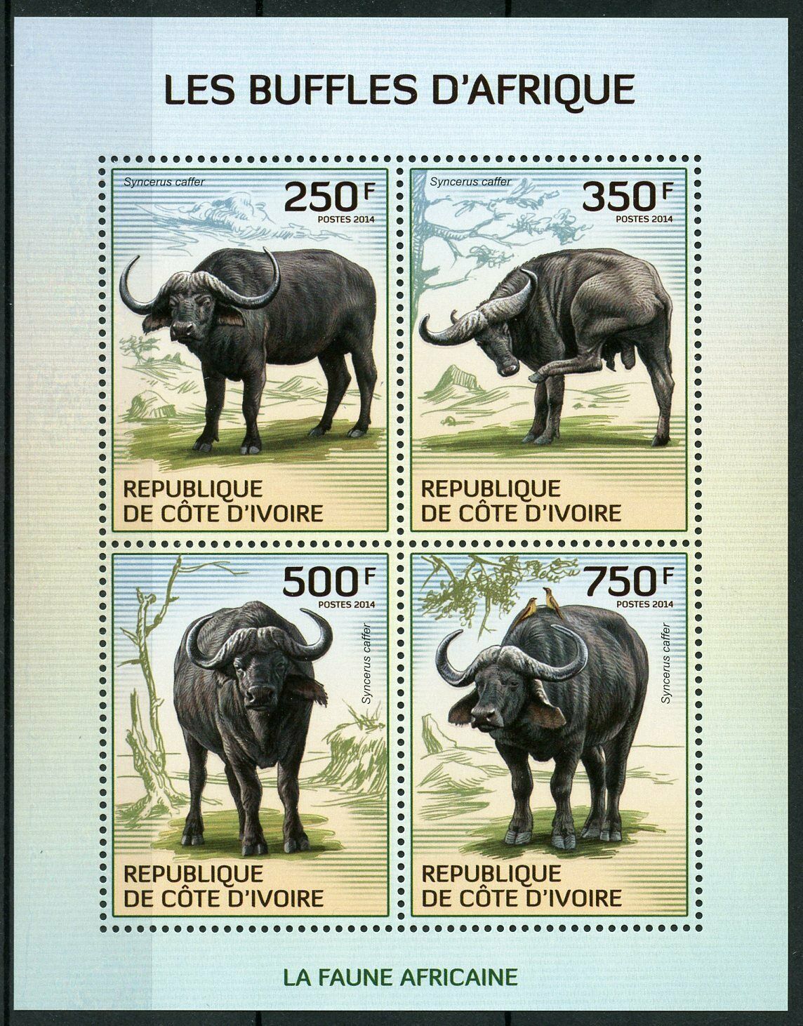Ivory Coast Wild Animals Stamps 2014 MNH African Buffalo Buffaloes Fauna 4v M/S