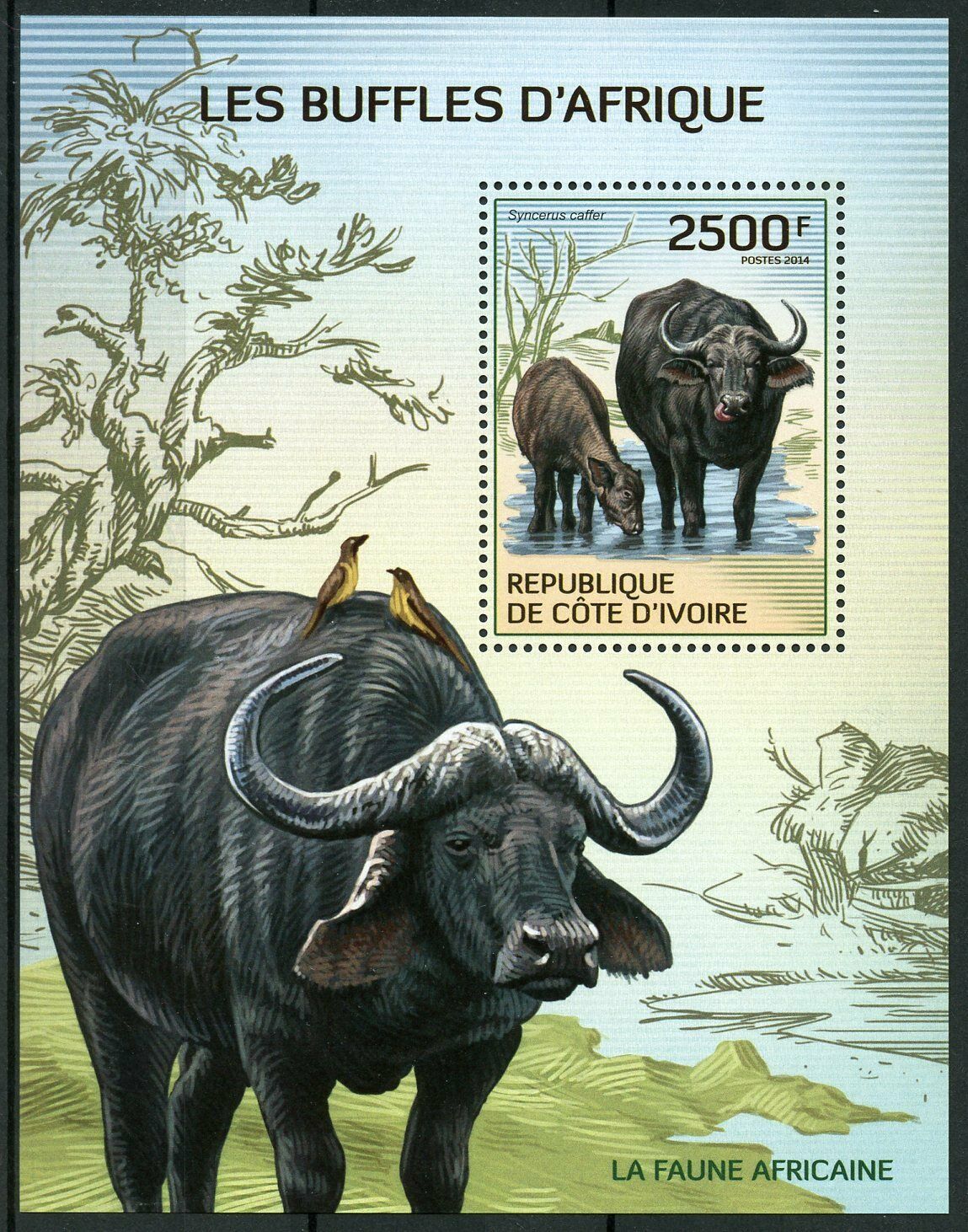 Ivory Coast Wild Animals Stamps 2014 MNH African Buffalo Buffaloes Fauna 1v S/S