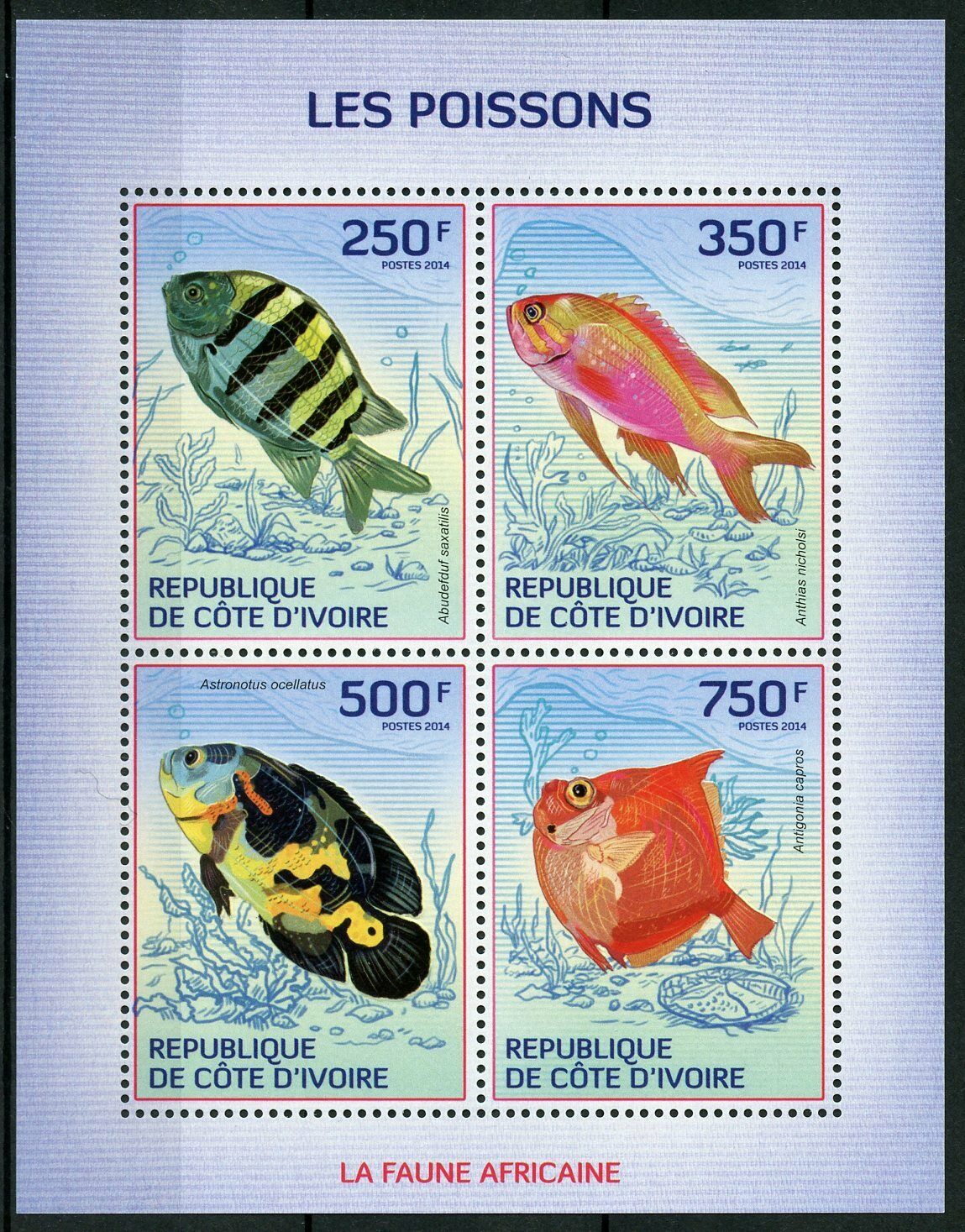Ivory Coast Fish Stamps 2014 MNH Fishes Marine Fauna 4v M/S
