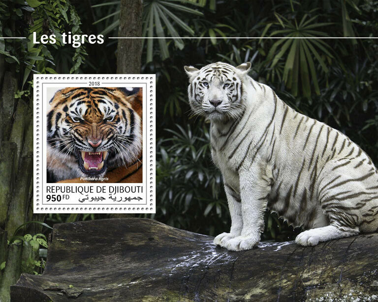 Djibouti Tigers Stamps 2018 MNH Big Cats Wild Animals Fauna 1v S/S