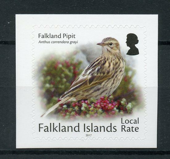 Falkland Islands 2017 MNH Small Birds on Stamps Local Rate Pipit 1v S/A