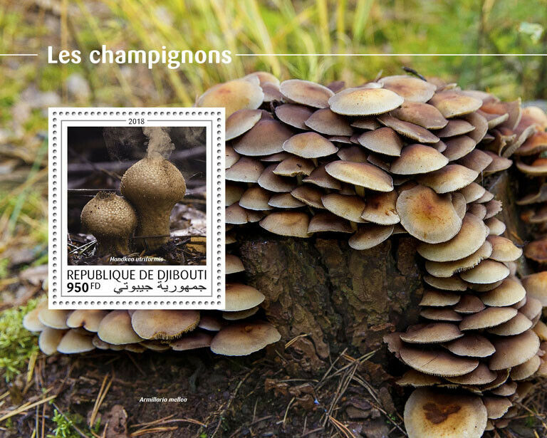 Djibouti Mushrooms Stamps 2018 MNH Puffball Mushroom Fungi Nature 1v S/S