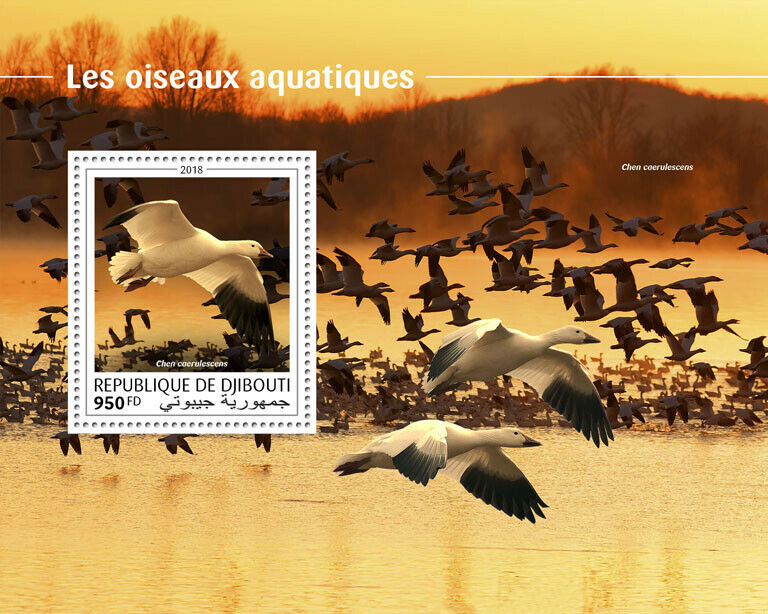 Djibouti 2018 MNH Water Birds on Stamps Geese Snow Goose 1v S/S
