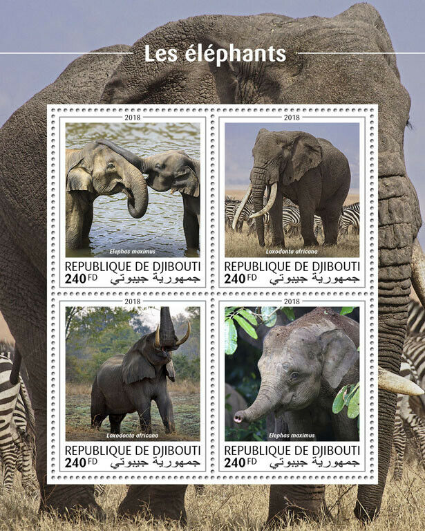 Djibouti Elephants Stamps 2018 MNH African Asian Elephant Wild Animals 4v M/S