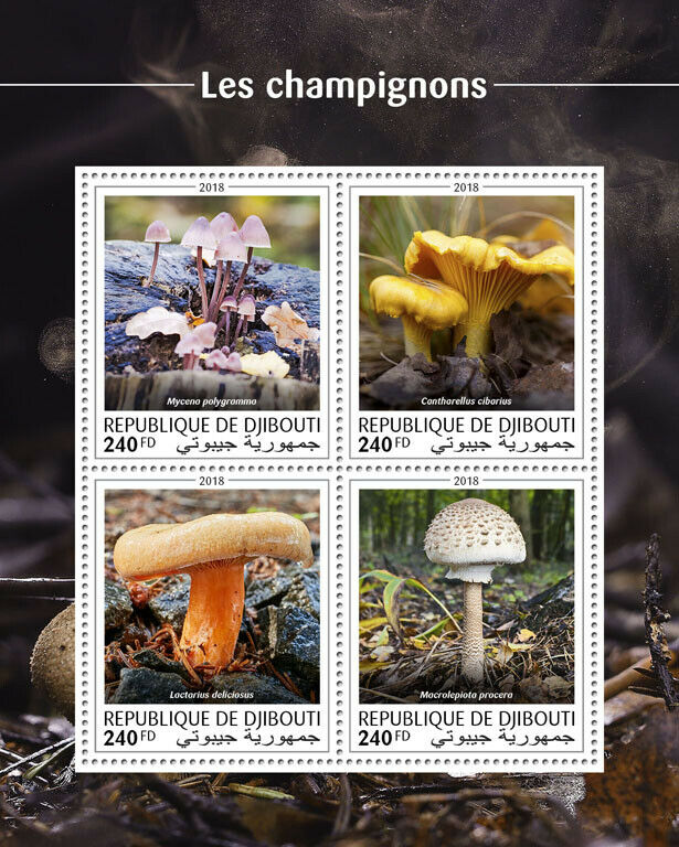 Djibouti Mushrooms Stamps 2018 MNH Chanterelle Mushroom Fungi Nature 4v M/S