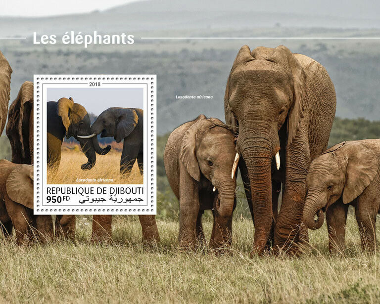 Djibouti Elephants Stamps 2018 MNH African Elephant Wild Animals 1v S/S