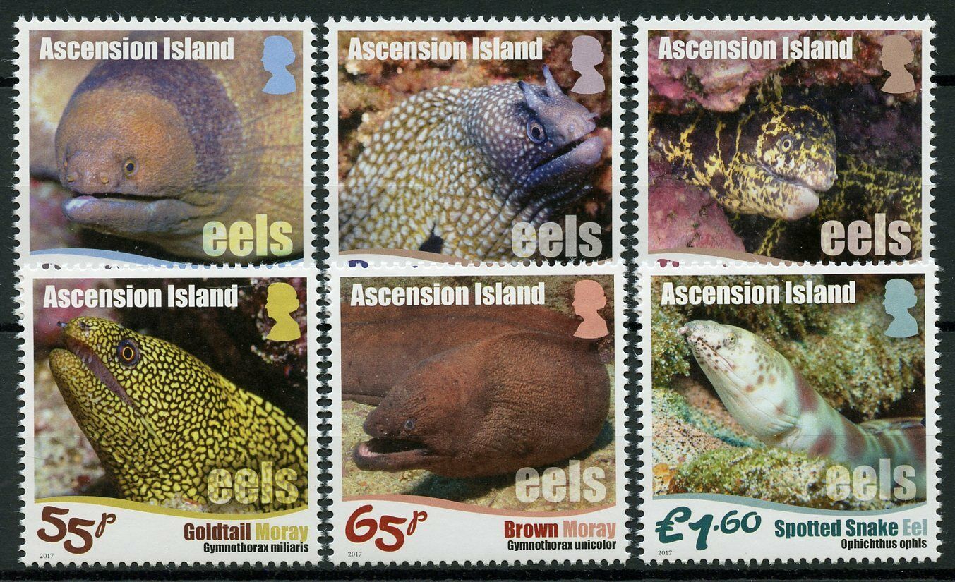 Ascension Island 2017 MNH Fish Stamps Eels Moray Eel Fishes Marine 6v Set