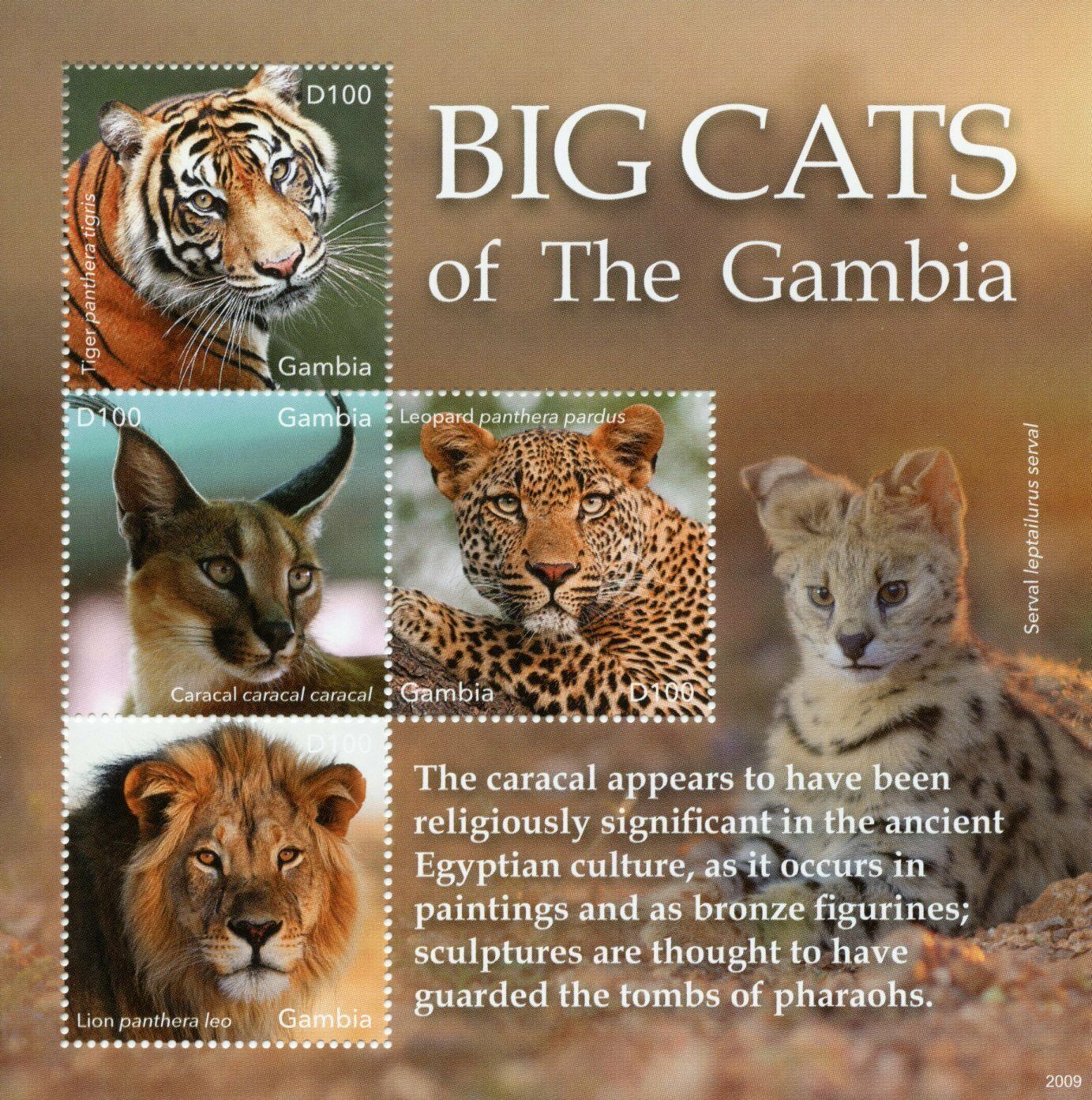 Gambia 2020 MNH Wild Animals Stamps Big Cats Tigers Lions Leopards Fauna 4v M/S