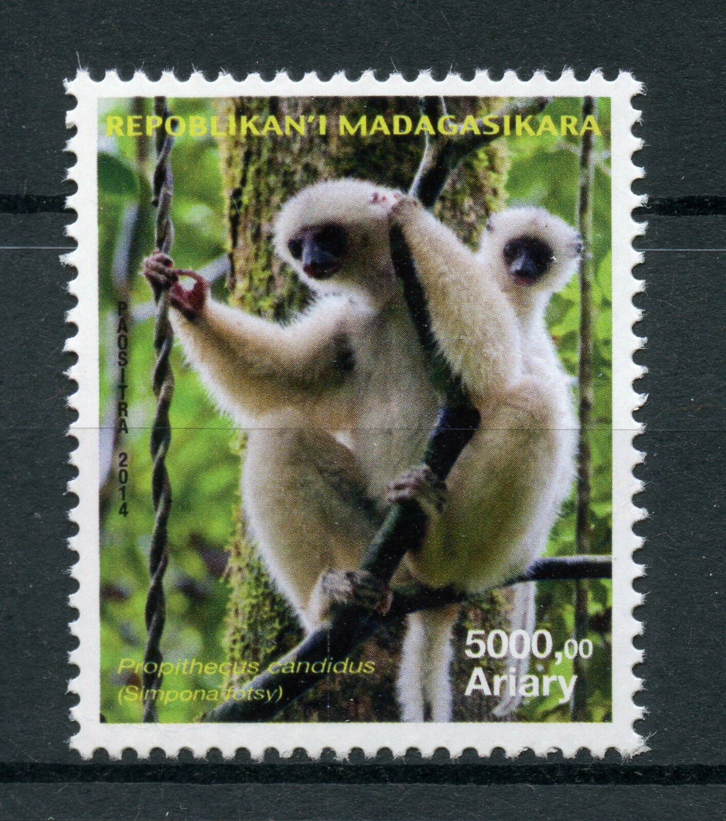 Madagascar 2014 MNH Silky Sifaka 1v Set Primates Monkeys Wild Animals Stamps