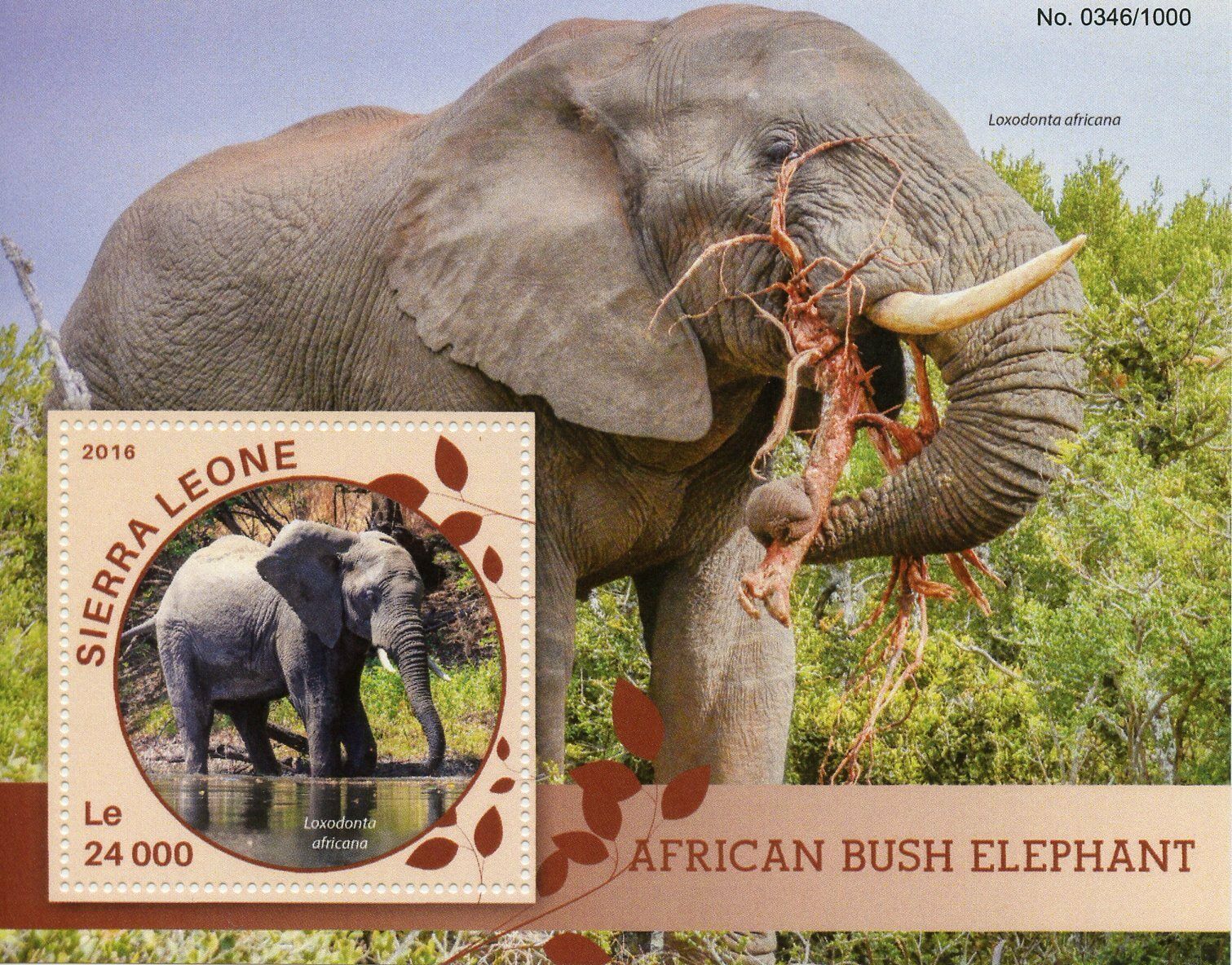 Sierra Leone Wild Animals Stamps 2016 MNH Elephants African Bush Elephant 1v S/S
