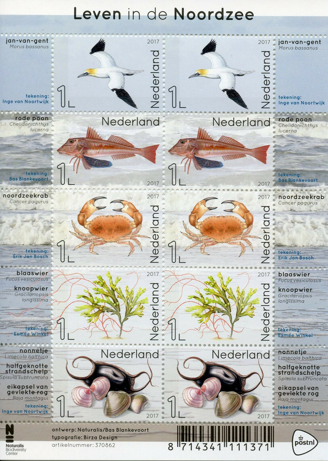 Netherlands 2017 MNH North Sea Life 10v M/S Birds Seashells Fish Crabs Stamps