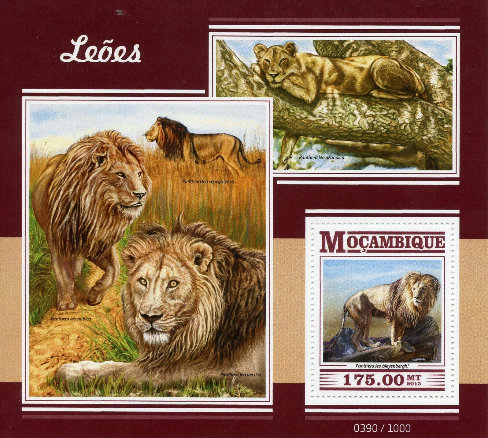 Mozambique 2015 MNH Lions 1v S/S Wild Animals Big Cats African Lion Stamps