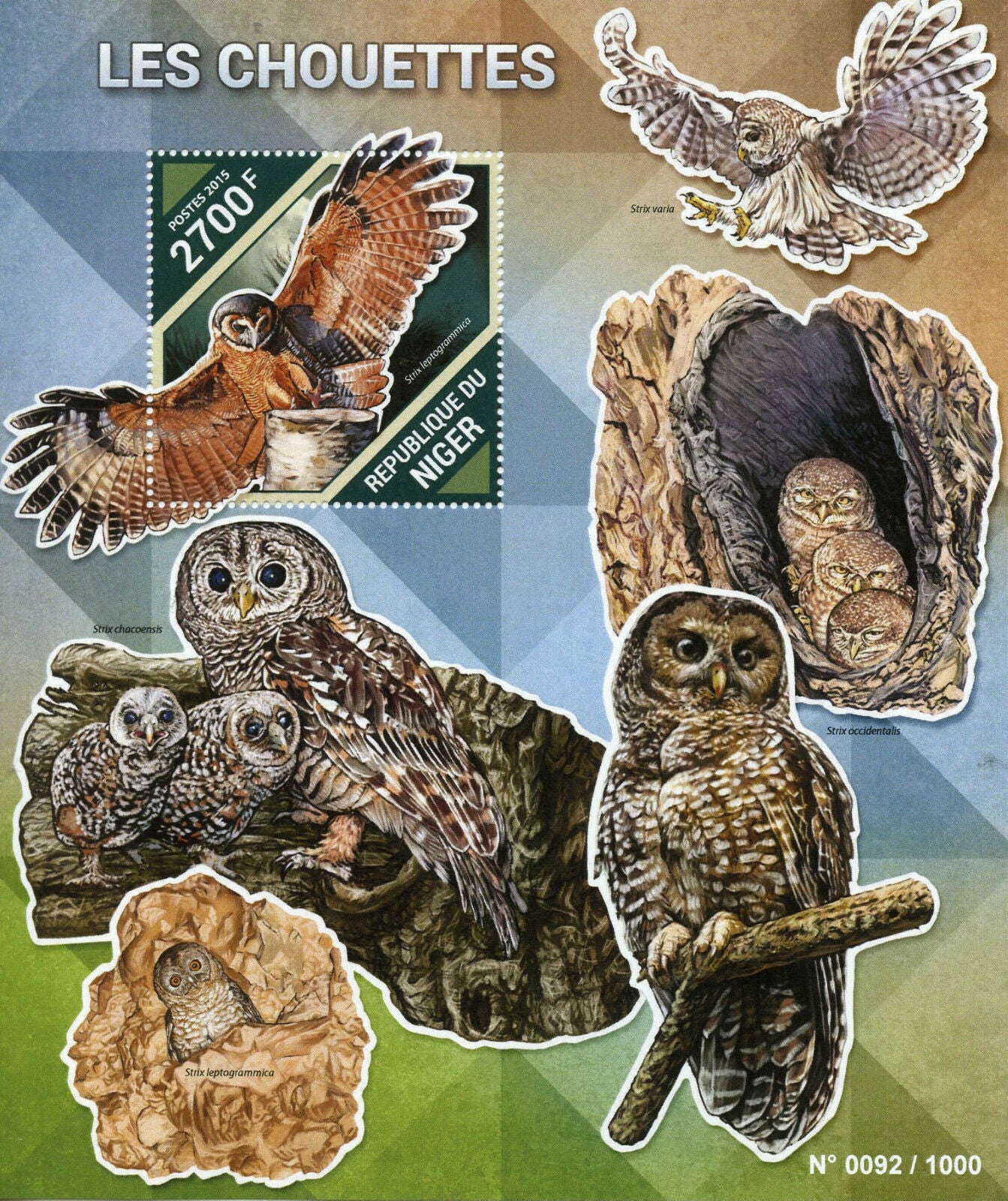 Niger 2015 MNH Owls 1v S/S Birds Chouettes Brown Wood Owl