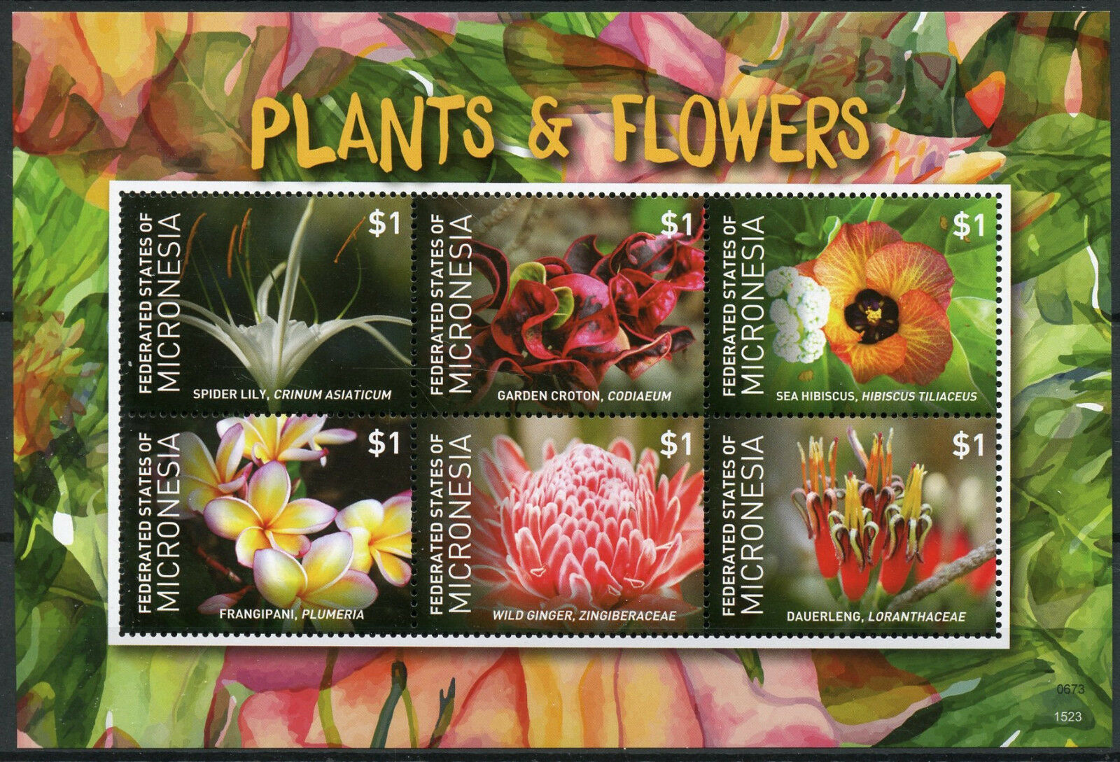 Micronesia 2015 MNH Plants Flowers Frangipani Lily Hibiscus 6v M/S Flora Stamps