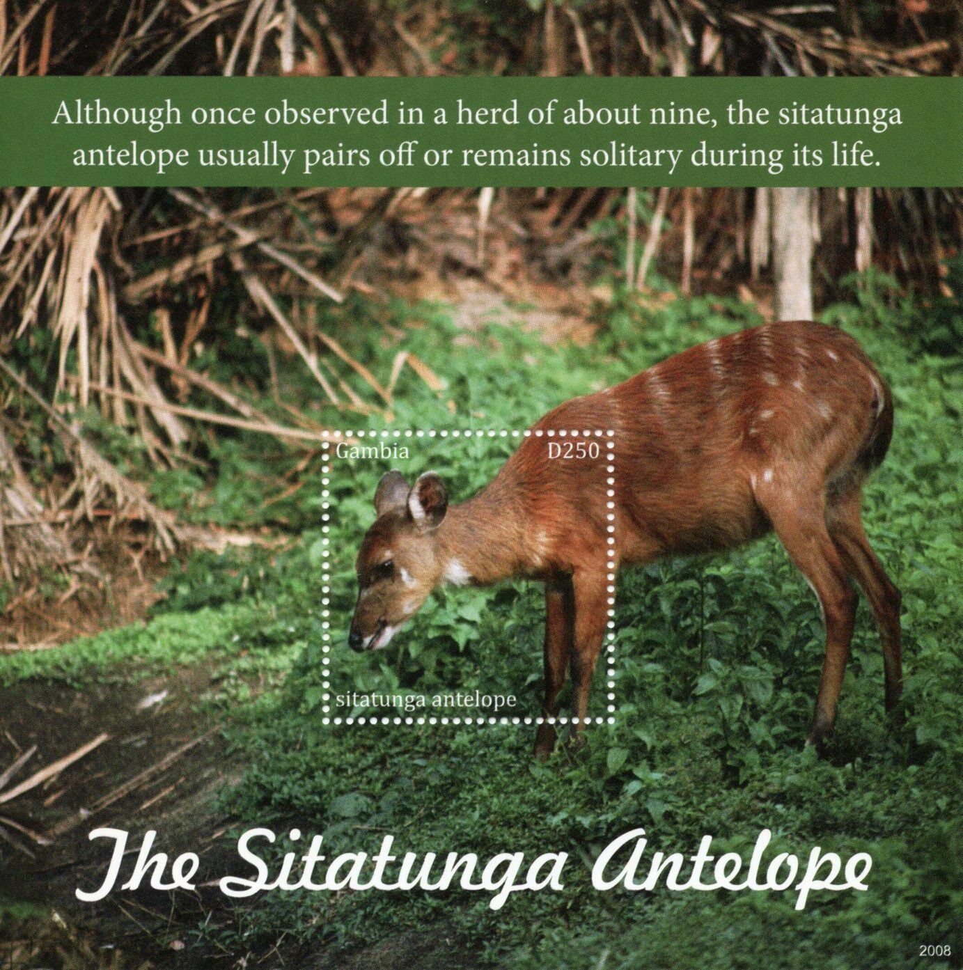 Gambia Wild Animals Stamps 2020 MNH Sitatunga Antelope Antelopes Fauna 1v S/S