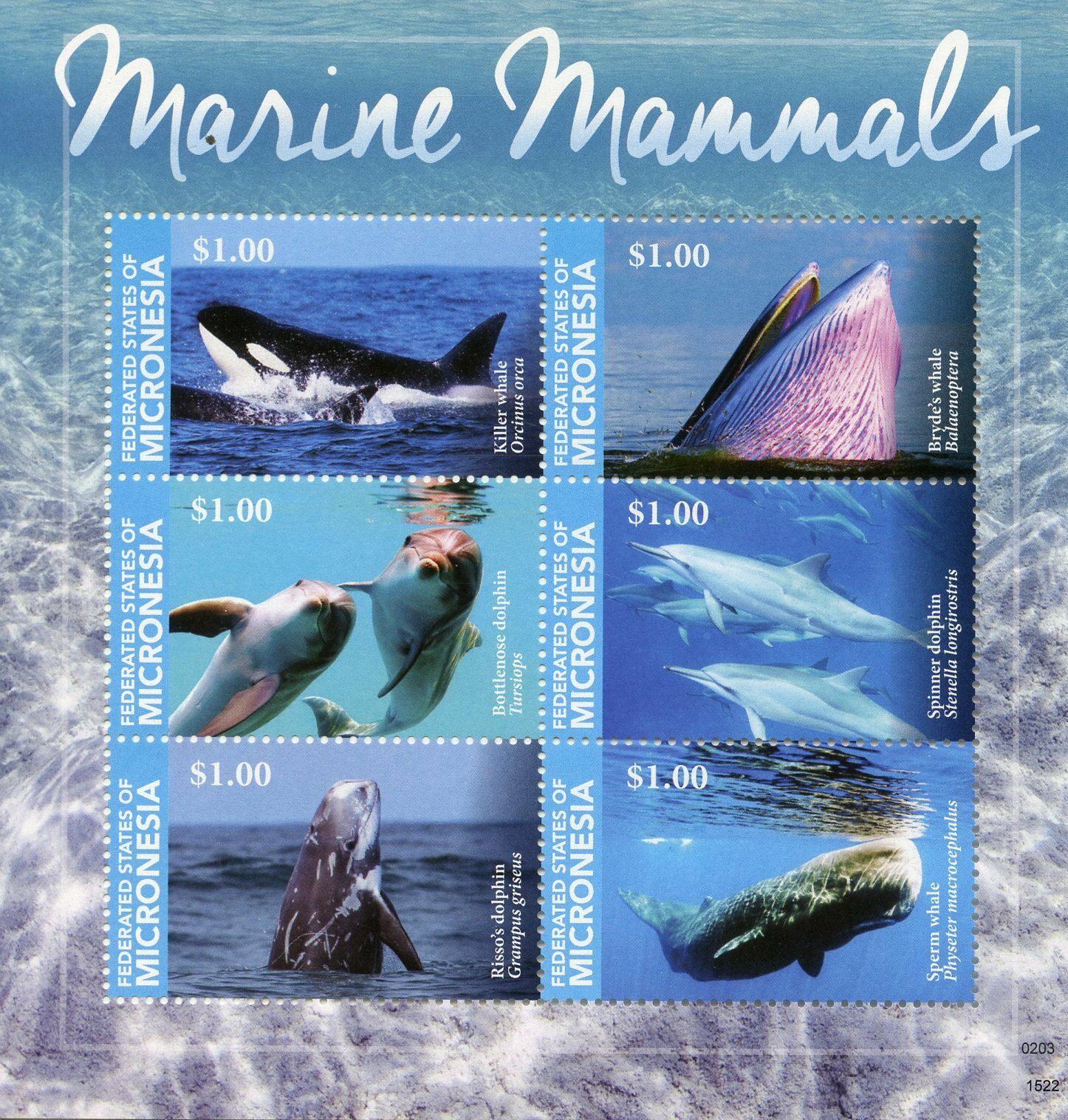 Micronesia 2015 MNH Marine Mammals 6v M/S Fauna Animals Whales Dolphins Stamps