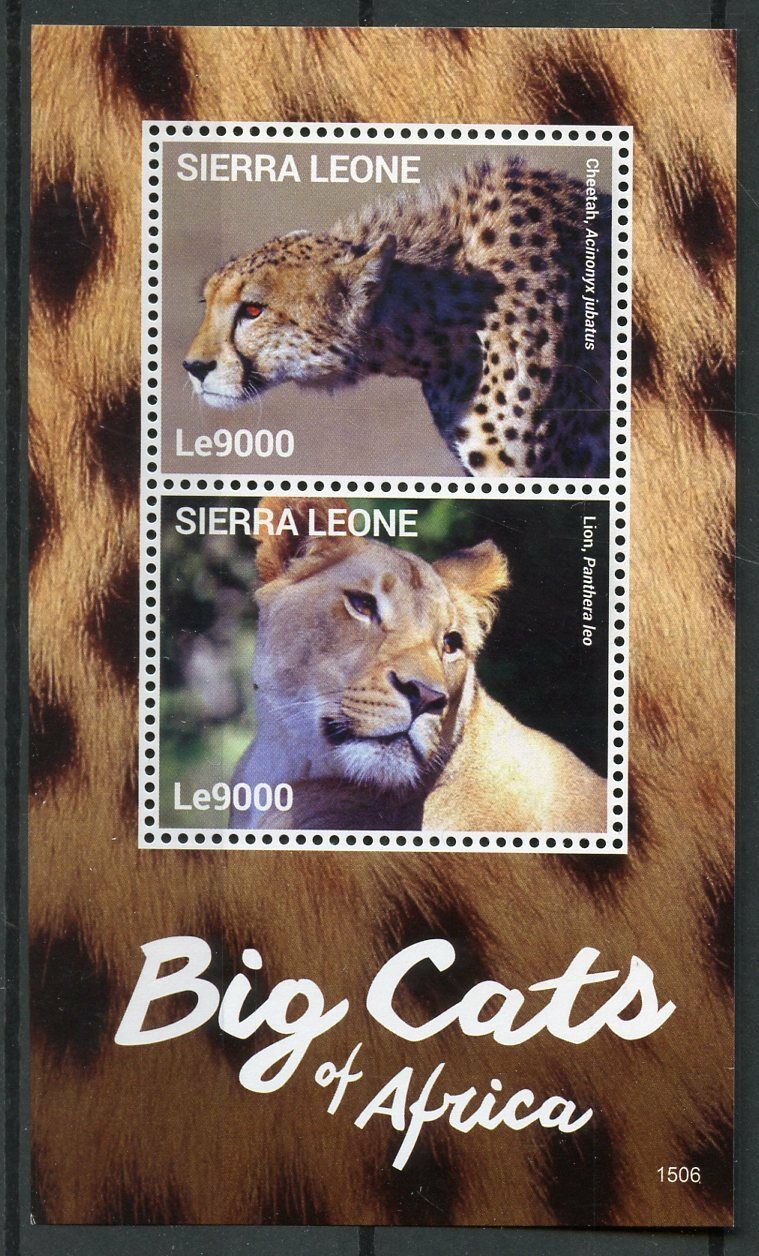 Sierra Leone 2015 MNH Wild Animals Stamps Big Cats of Africa Lions 2v S/S II