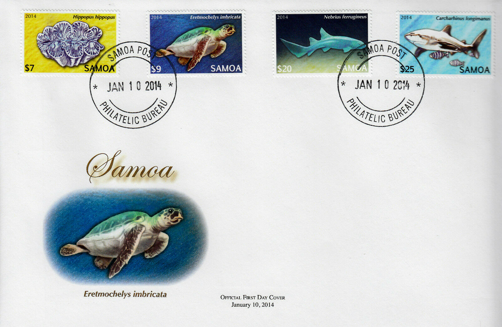 Samoa 2014 FDC Threatened Species Pt 2 12v Set on 3 Covers Marine Fish Sharks
