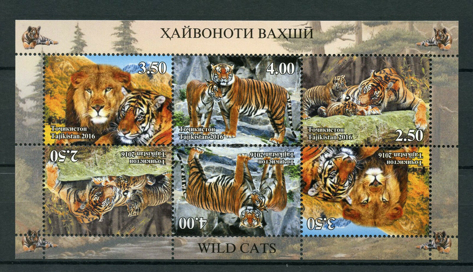 Tajikistan 2016 MNH Wild Cats Big Cats Tigers Lions 6v M/S Wild Animals Stamps