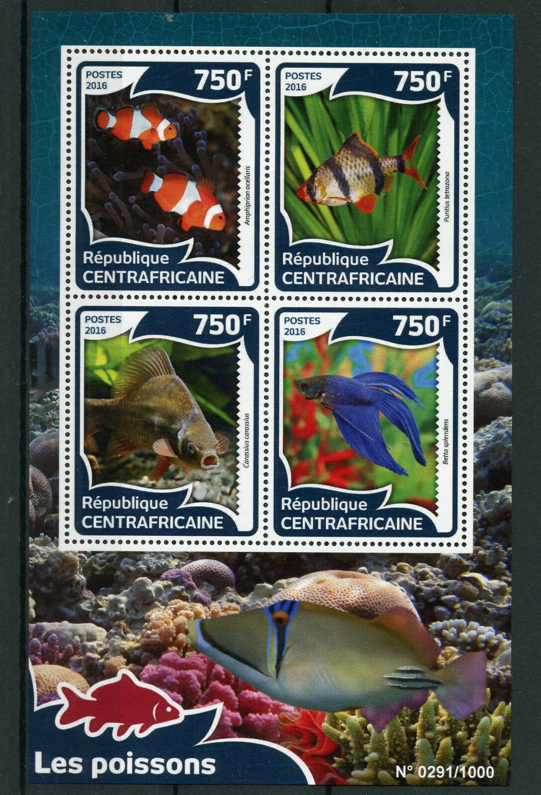 Central African Rep 2016 MNH Fishes 4v M/S Fish Clownfish Tiger Barb Carp Stamps