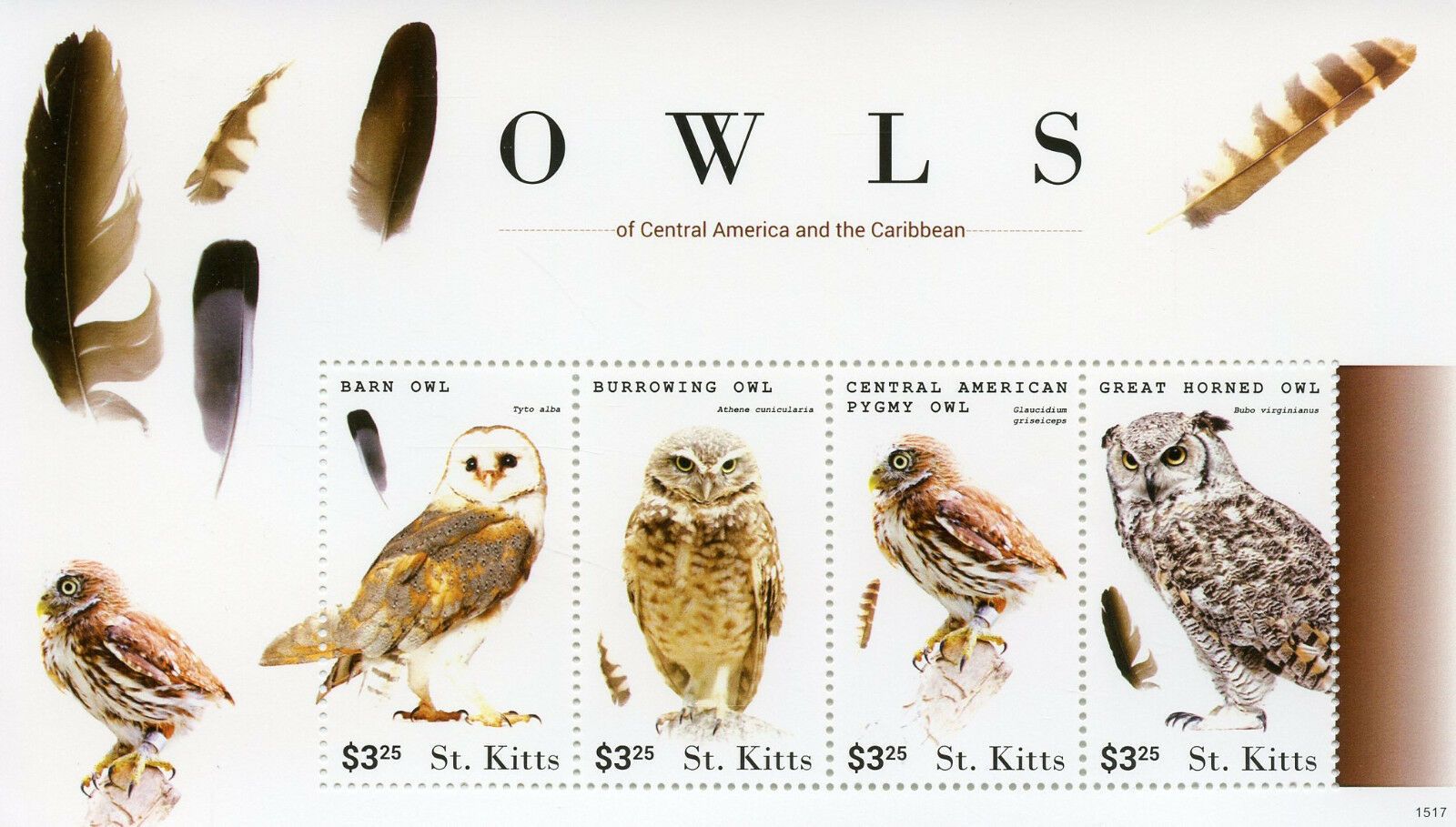 St Kitts 2015 MNH Birds on Stamps Owls of Central American Caribbean Barn Owl 4v M/S I