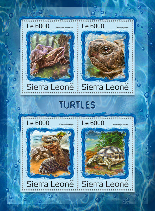 Sierra Leone 2016 MNH Turtles Galapagos Giant Tortoise 4v M/S Reptiles Stamps