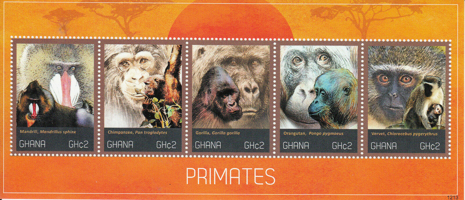 Ghana 2012 MNH Wild Animals Stamps Primates Mandrill Chimpanzee Gorillas 5v M/S