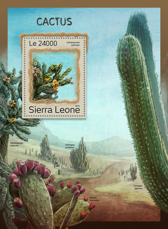 Sierra Leone 2016 MNH Cactus 1v S/S Flowers Plants Stamps