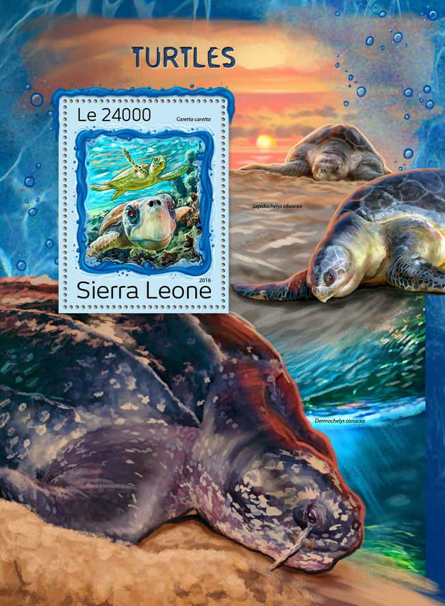 Sierra Leone 2016 MNH Turtles Galapagos Giant Tortoise 1v S/S Reptiles Stamps