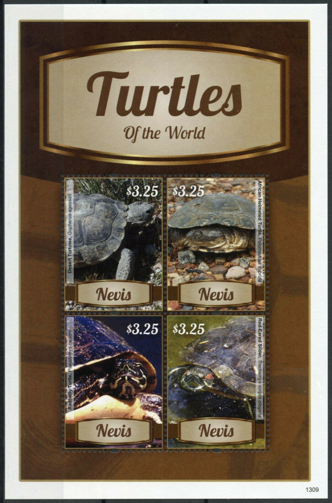 Nevis Reptiles Stamps 2013 MNH Turtles of the World Desert Tortoise 4v M/S