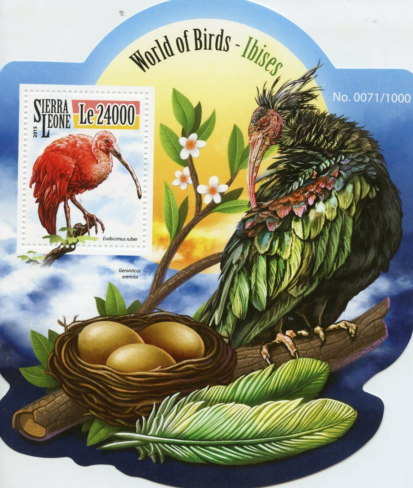 Sierra Leone 2015 MNH Ibises 1v S/S Scarlet Ibis Birds Stamps
