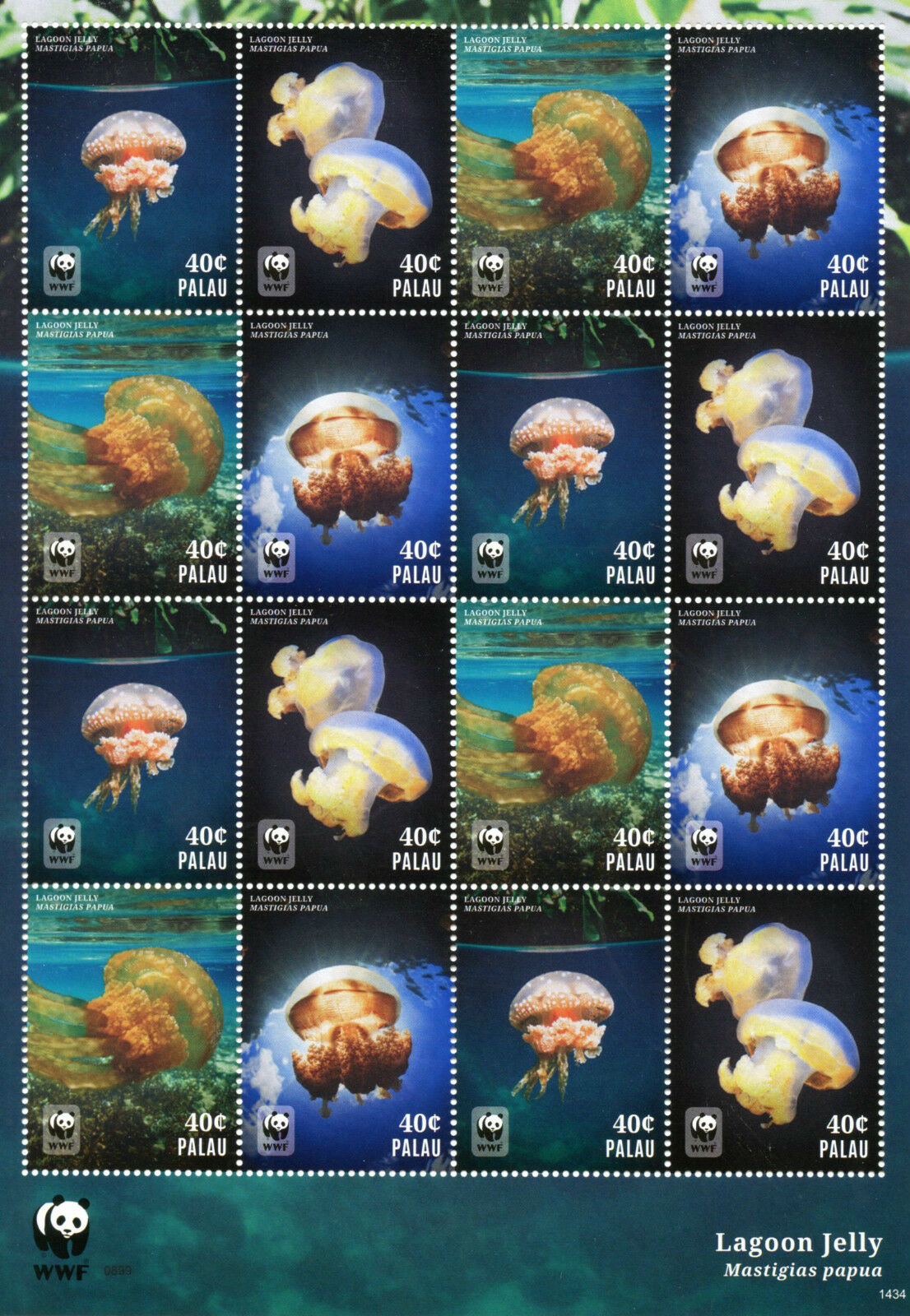 Palau 2014 MNH Marine Animals Stamps Lagoon Jelly WWF Jellyfish 16v M/S