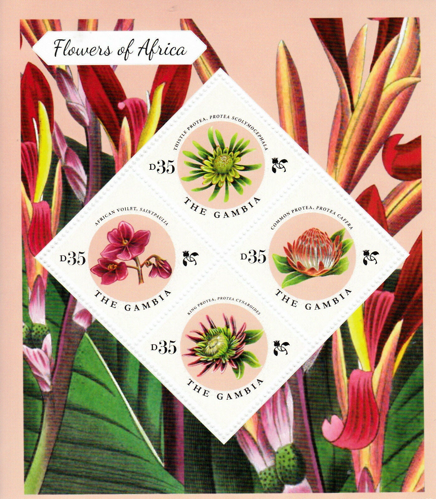 Gambia 2013 MNH Flowers of Africa Stamps Thistle Protea Common African Violet 4v M/S II