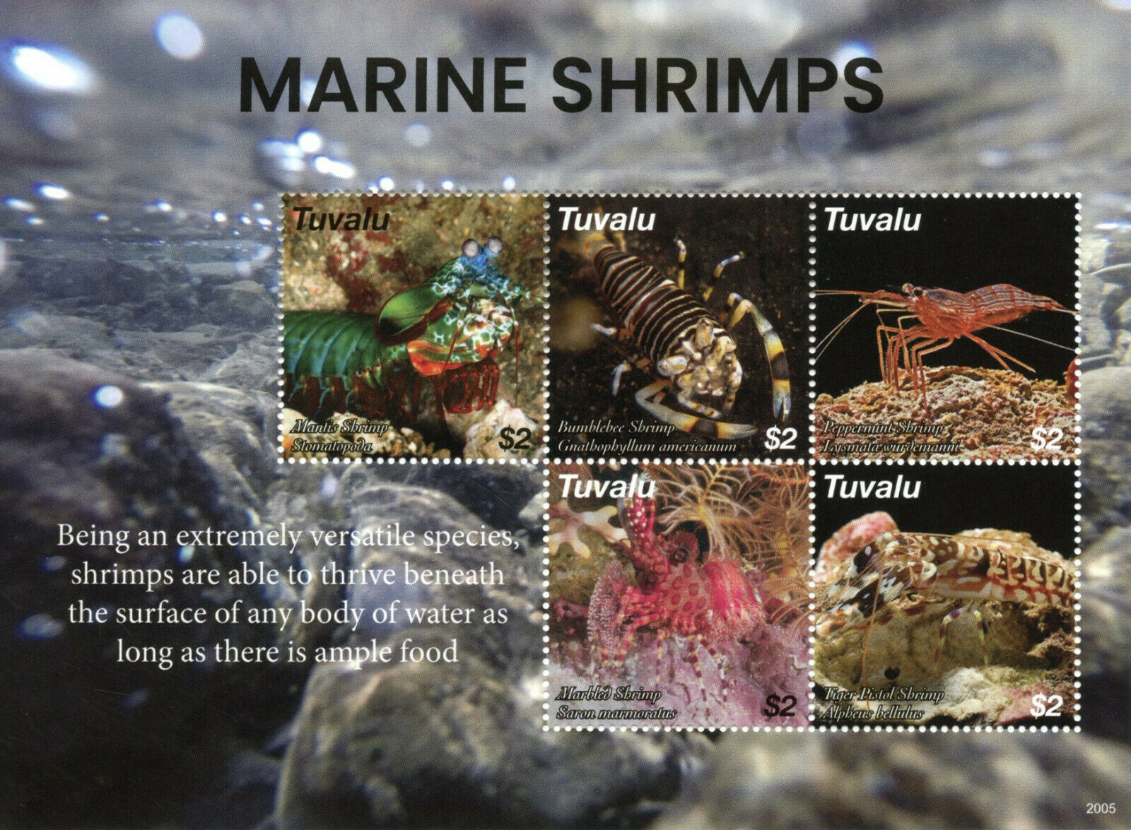Tuvalu 2020 MNH Marine Animals Stamps Shrimps Mantis Marbled Shrimp 5v M/S