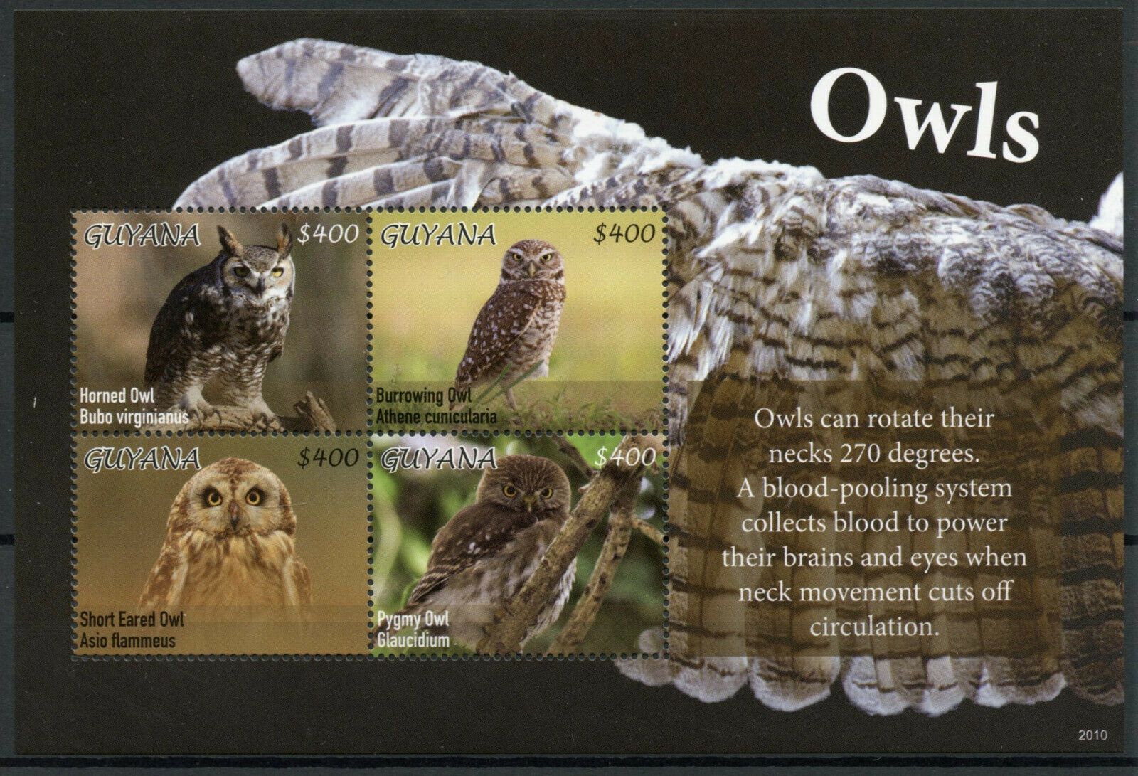 Guyana 2020 MNH Birds on Stamps Owls Horned Burrowing Pygmy Owl 4v M/S
