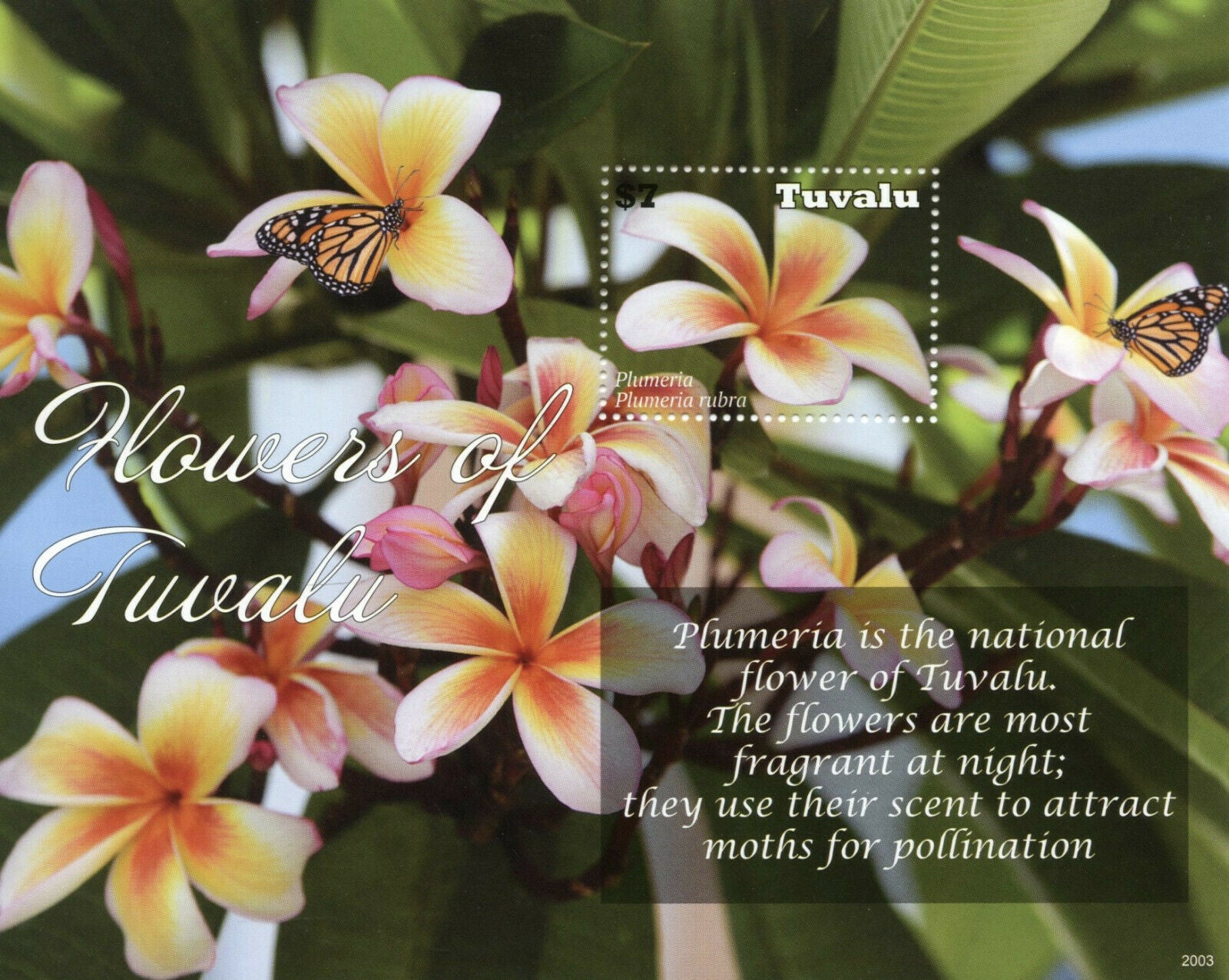 Tuvalu Flowers Stamps 2020 MNH Plumeria National Flower Flora Butterflies 1v S/S