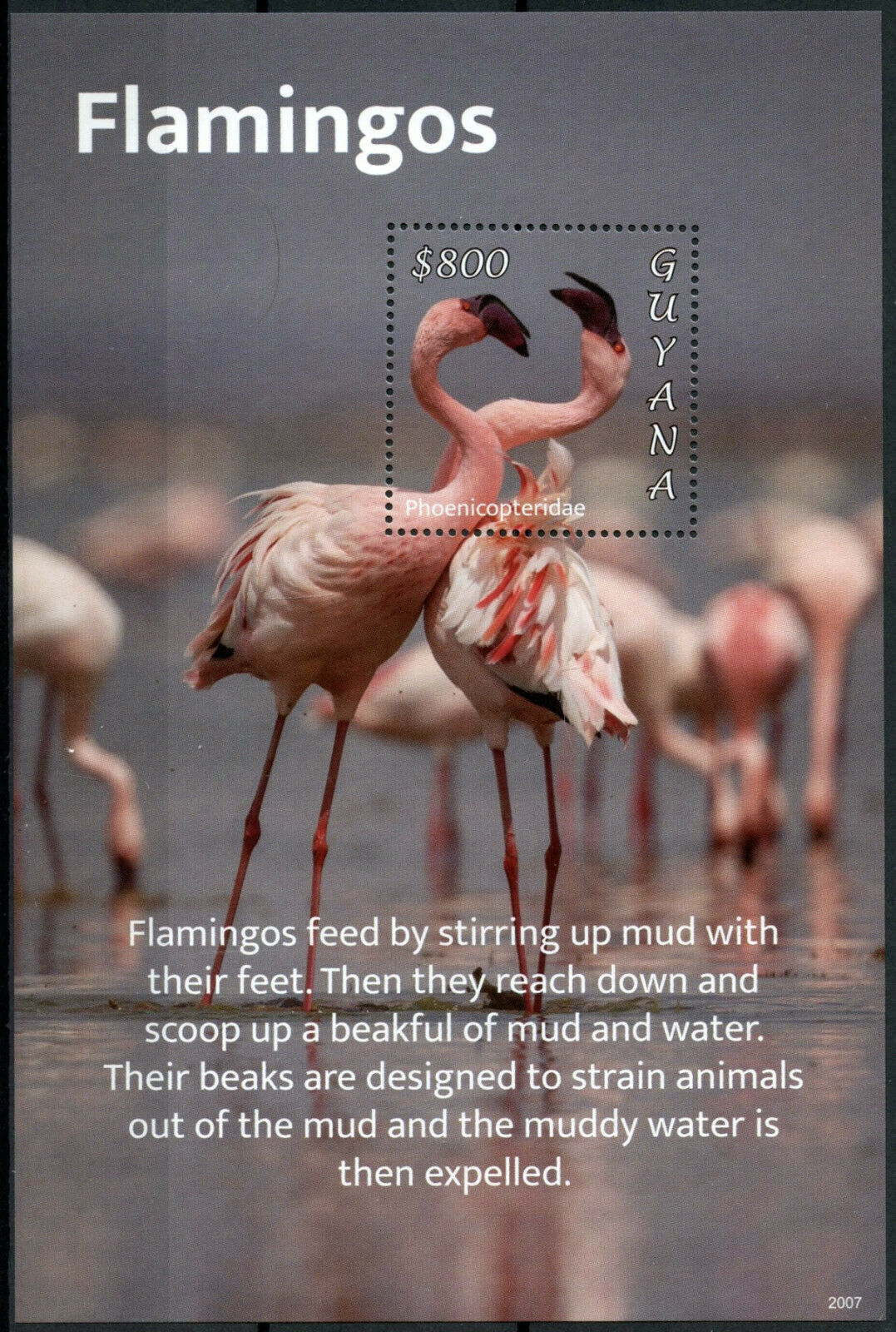 Guyana 2020 MNH Birds on Stamps Flamingos Flamingo 1v S/S